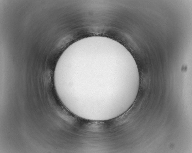 X0000090750128200708101733
