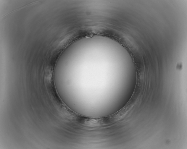 X0000090750129200708101733