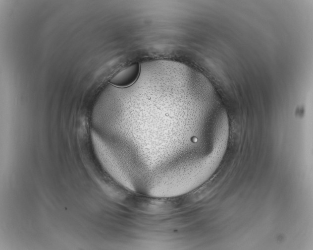 X0000090750130200708101733