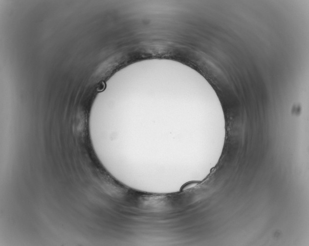 X0000090750132200708101733