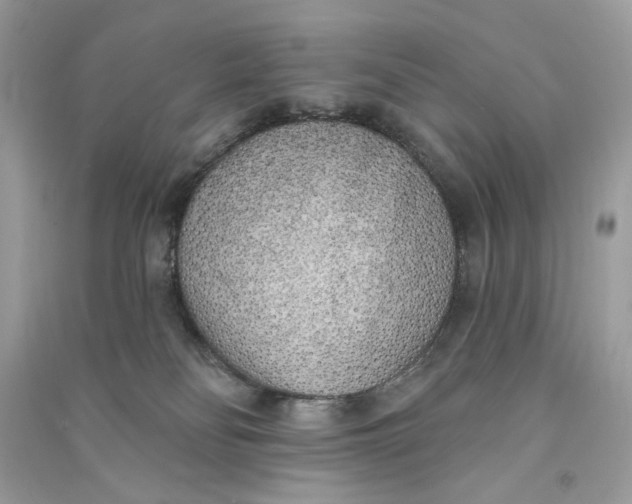 X0000090750134200708101733