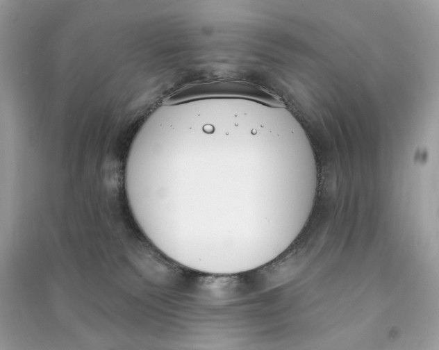 X0000090750135200708101733