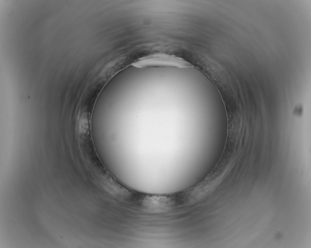 X0000090750137200708101733