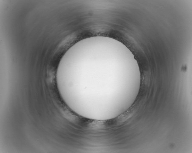X0000090750138200708101733