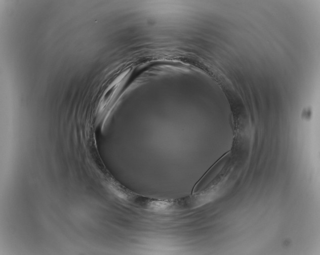 X0000090750139200708101733