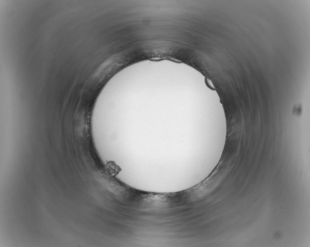 X0000090750140200708101733