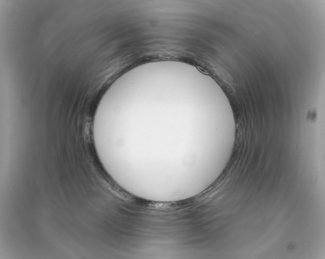 X0000090750141200708101733