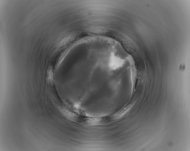 X0000090750143200708101733