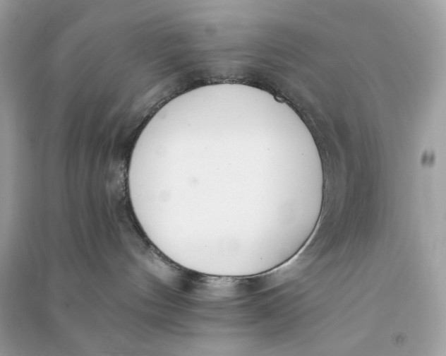 X0000090750144200708101733
