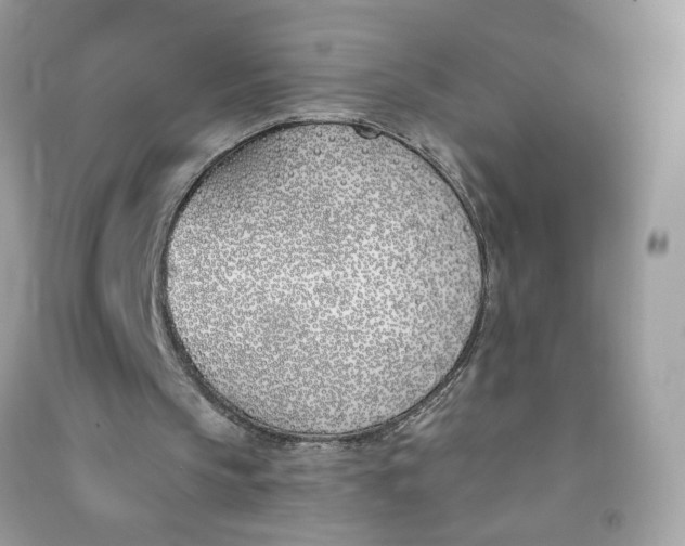 X0000090750145200708101732
