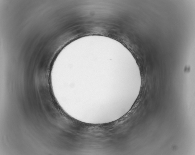 X0000090750146200708101732