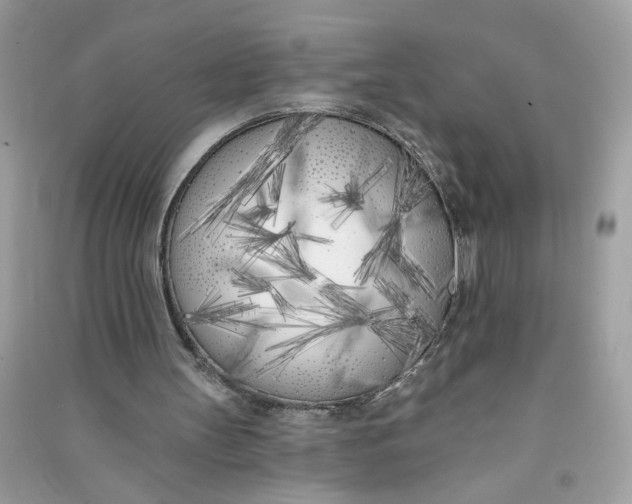 X0000090750147200708101732