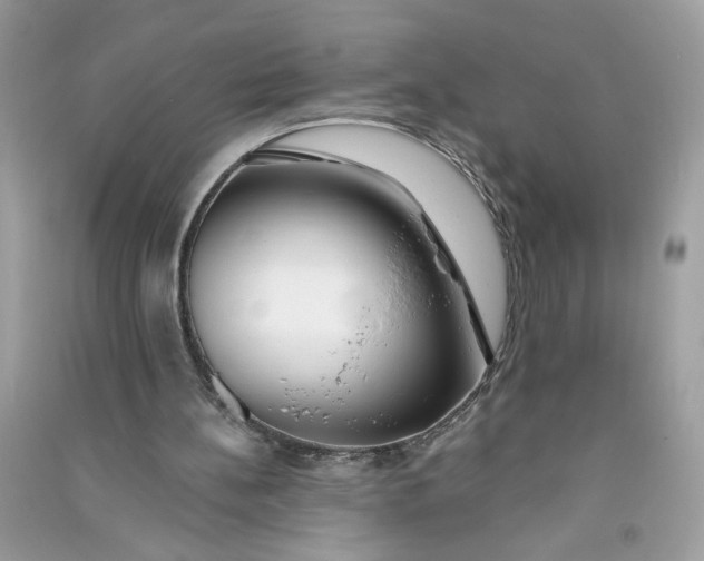 X0000090750148200708101732