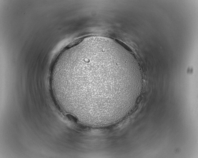 X0000090750149200708101732