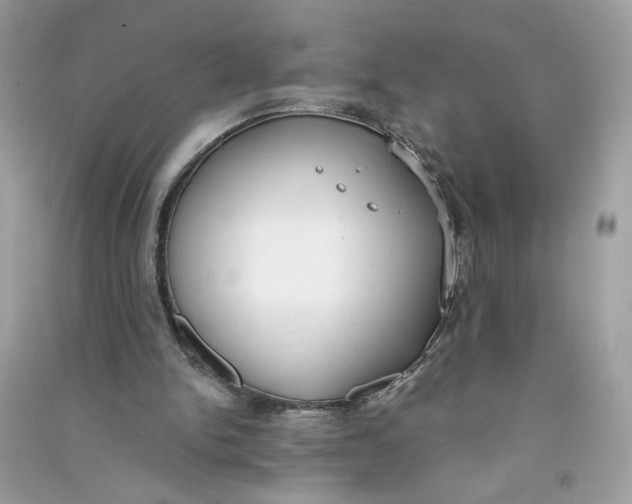 X0000090750150200708101732