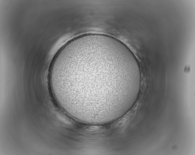 X0000090750151200708101732