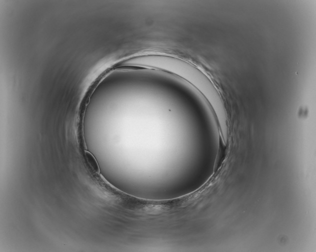 X0000090750152200708101732