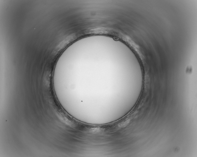 X0000090750153200708101732