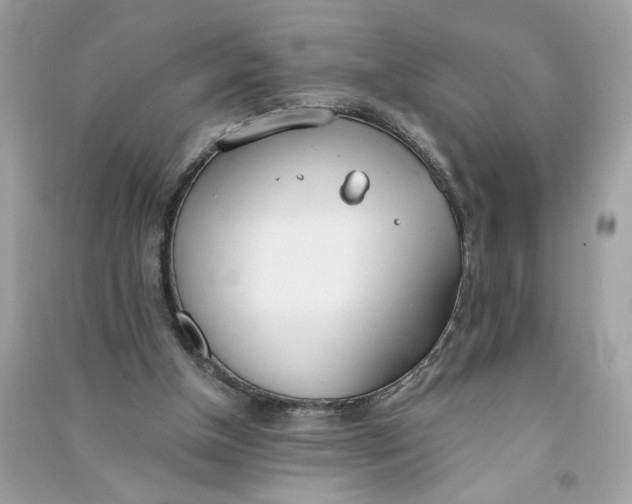 X0000090750154200708101732