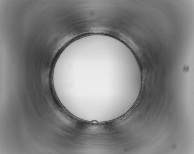X0000090750155200708101732