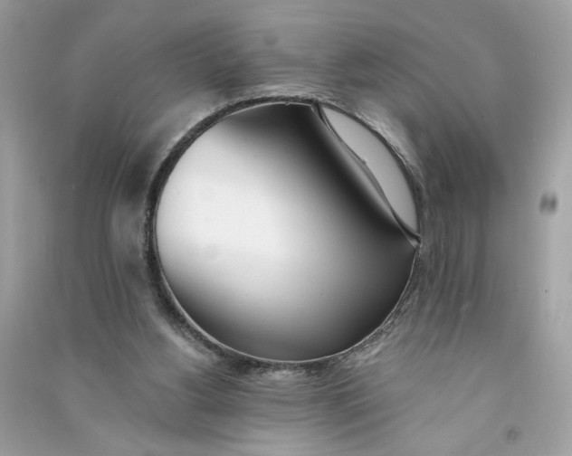 X0000090750156200708101732