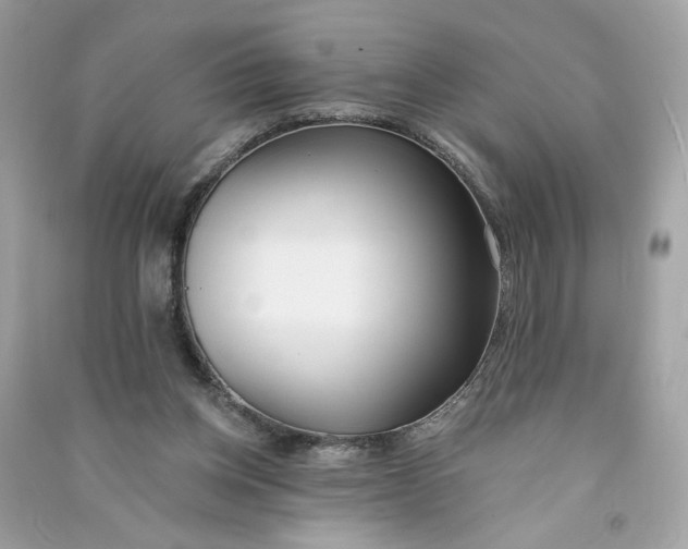 X0000090750158200708101732