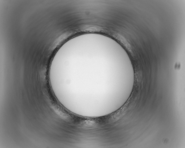 X0000090750159200708101732