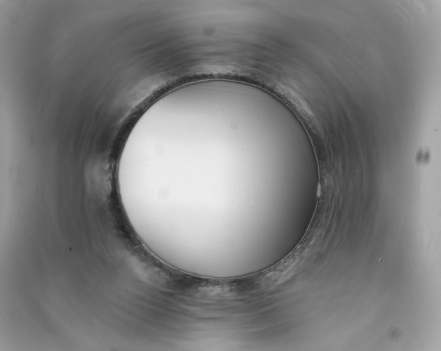 X0000090750160200708101732