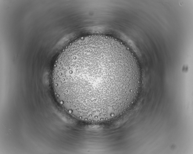 X0000090750161200708101732