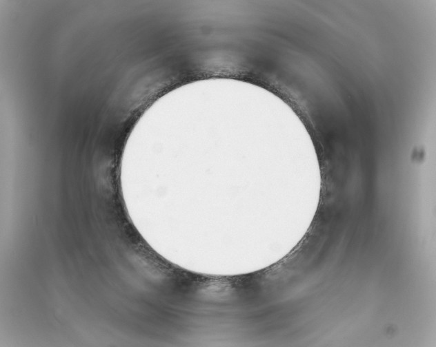 X0000090750162200708101732