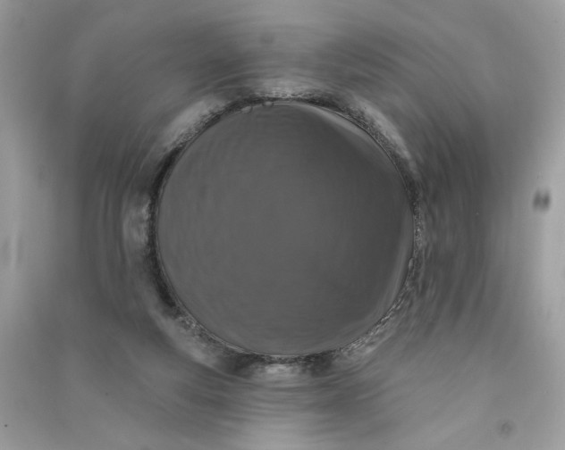 X0000090750163200708101732
