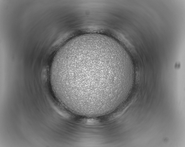 X0000090750165200708101733
