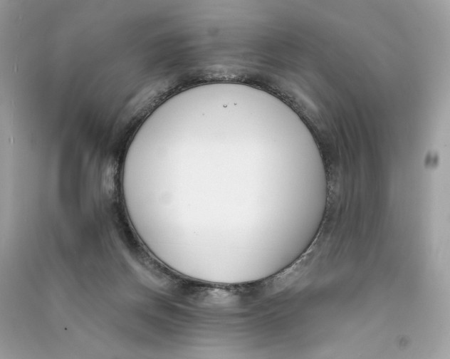 X0000090750166200708101733