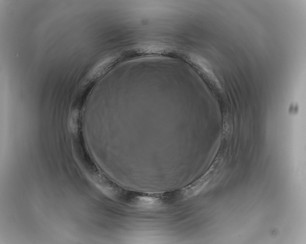 X0000090750167200708101733