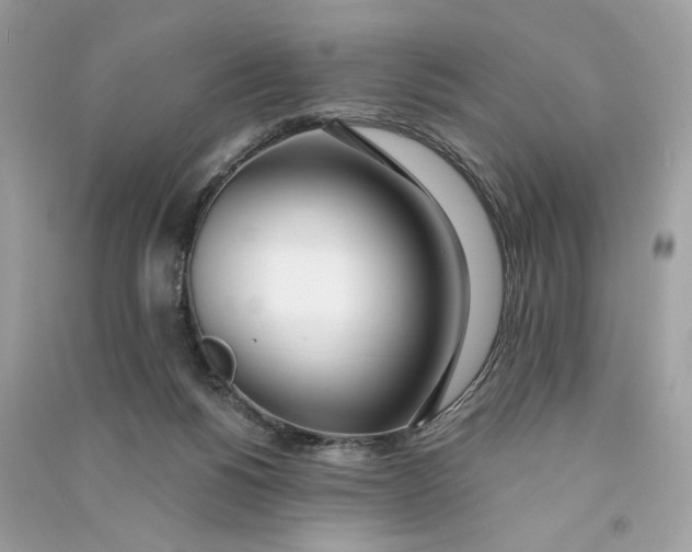 X0000090750168200708101733