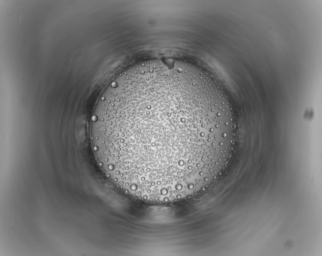 X0000090750169200708101733