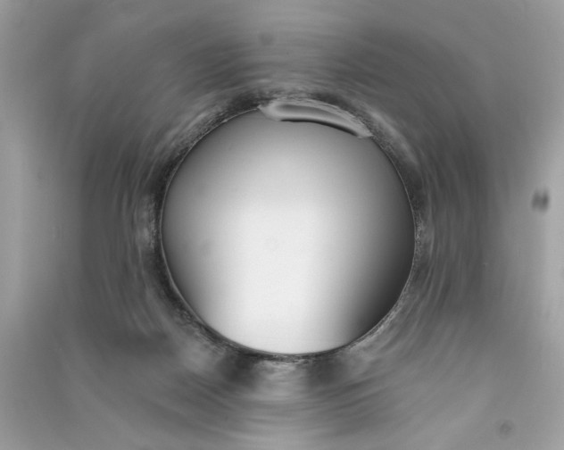 X0000090750170200708101733