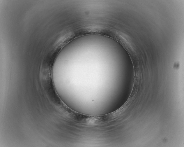 X0000090750172200708101733