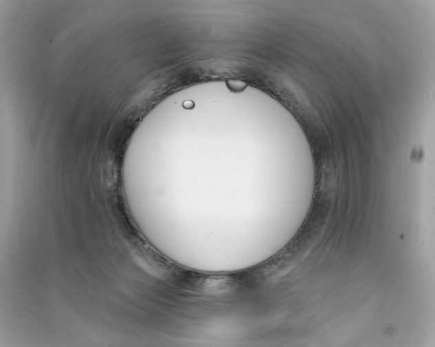 X0000090750173200708101733