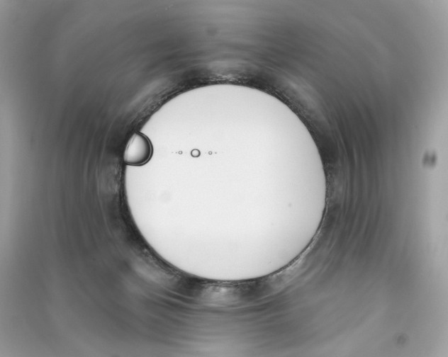 X0000090750174200708101733