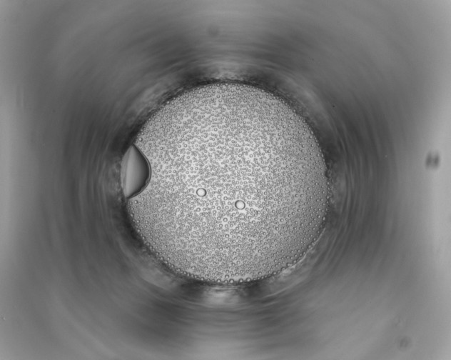 X0000090750175200708101733