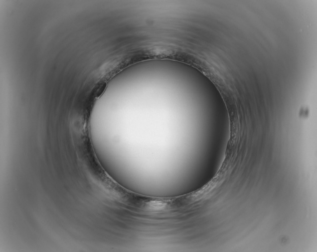 X0000090750176200708101733