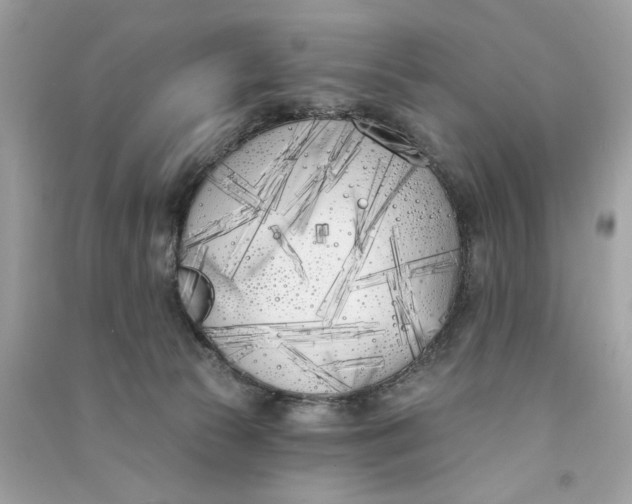 X0000090750177200708101733