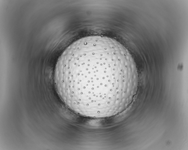X0000090750178200708101733