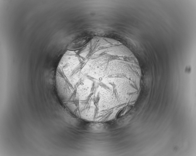 X0000090750181200708101733