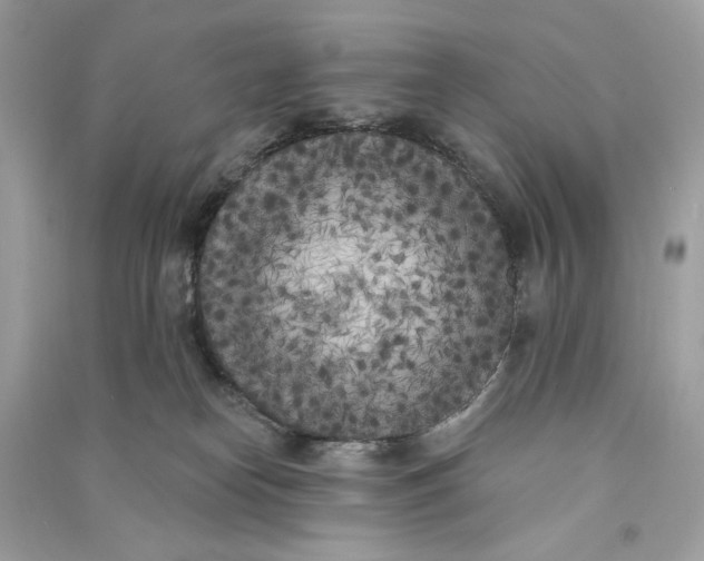 X0000090750182200708101733