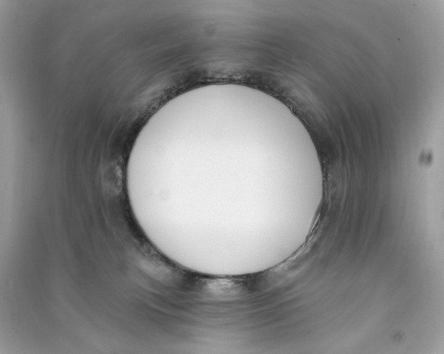 X0000090750183200708101733