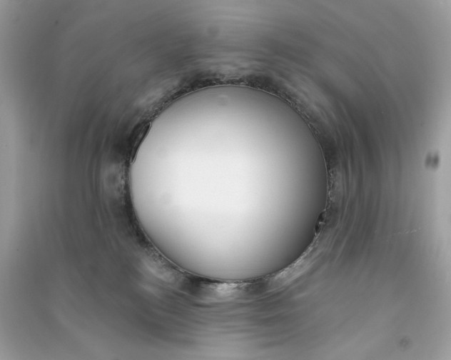 X0000090750184200708101733