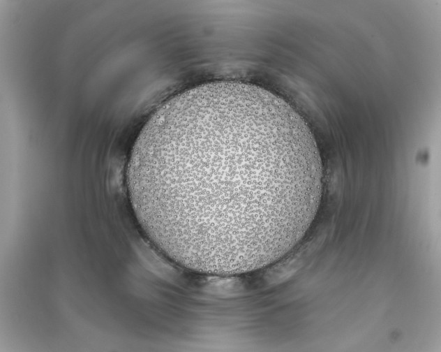 X0000090750185200708101733