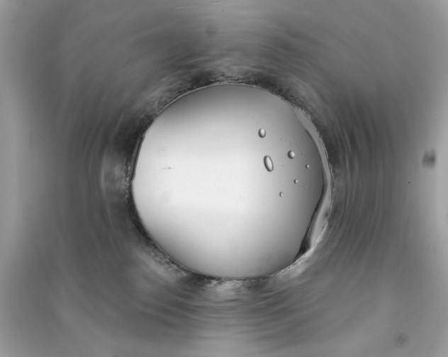 X0000090750186200708101733